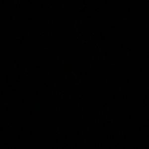 Meet your Posher, Dneka